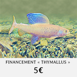 FINANCEMENT " THYMALLUS " -...