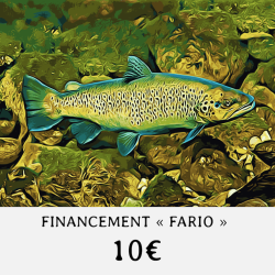 FINANCEMENT " FARIO " -...