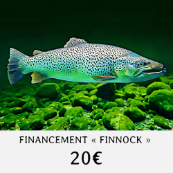 FINANCEMENT " FINNOCK " -...