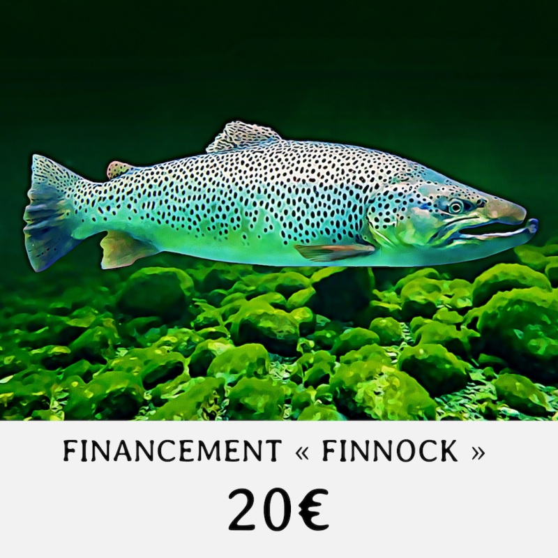 FINANCEMENT " FINNOCK " - VALEUR 20 €