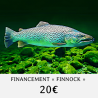 FINANCEMENT " FINNOCK " - VALEUR 20 €