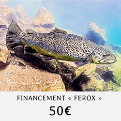 FINANCEMENT " FEROX " -...