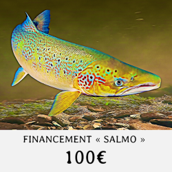 FINANCEMENT " SALMO " -...